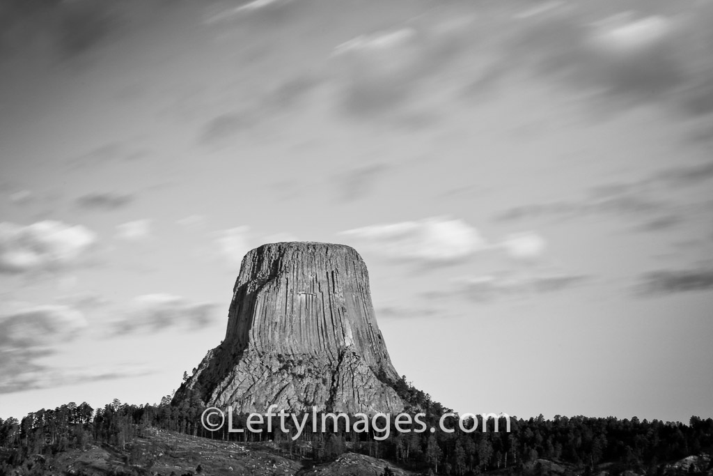 fc-20130829-IMG_2133-bw.jpg