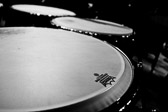 fc-20120728-IMG_7387-bw.jpg